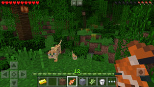 Minecraft