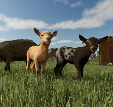 Farming Simulator 25